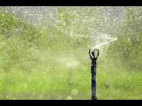 Butterfly Sprinklers Installation In Kenya By Grekkon Limited YouTube