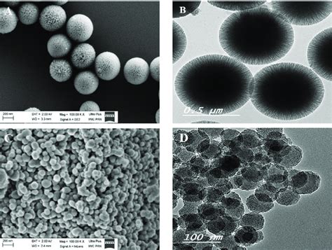 Sem A C And Tem B D Images Of Mesoporous Silica Nanomaterials