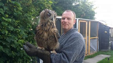 Eurasian Eagle Owl For Sale 1 Petzlover