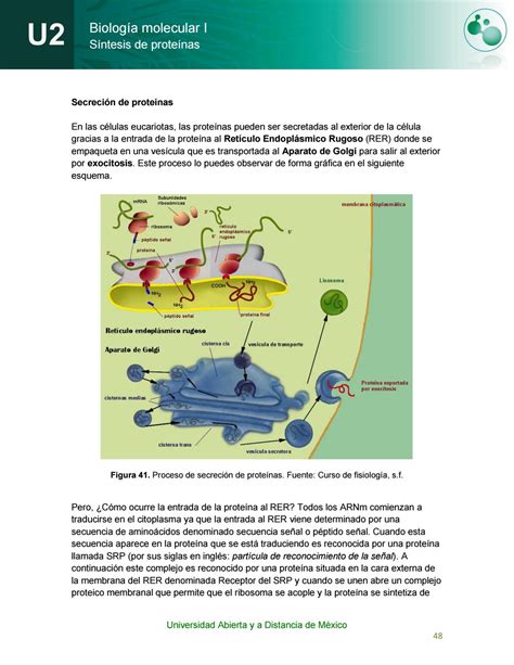 Biología Del Diagrama De Proteínas