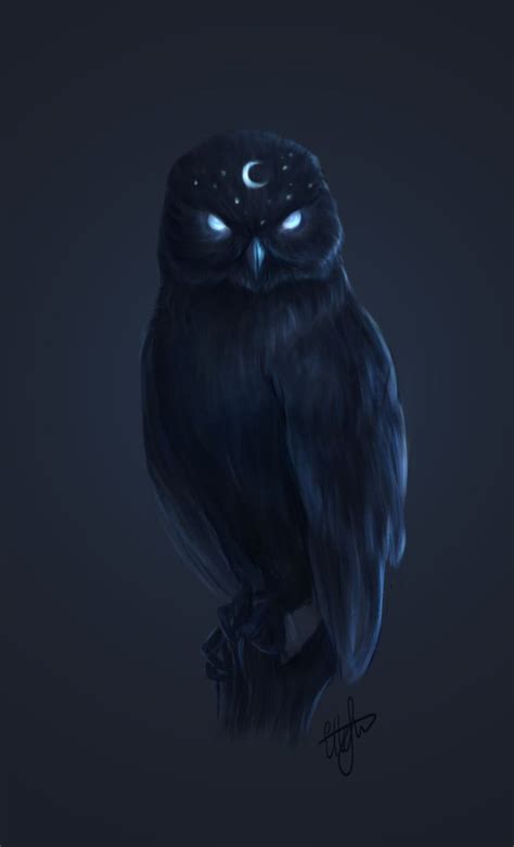 The Night Owl, Ella . in 2024 | Fantasy creatures art, Mystical animals, Cute fantasy creatures