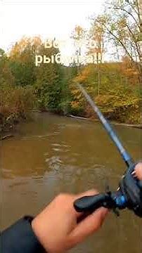 Ловля горбуши в речушке!!! Вот это рыбалка!!! - YouTube