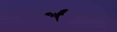 11 Vampire Bat Facts About The Blood-loving Mammals