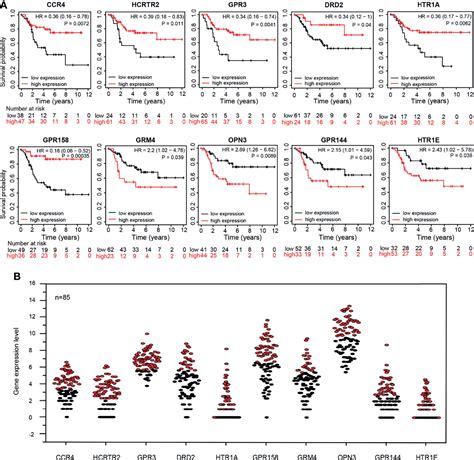 Frontiers Prediction And Identification Of Gpcrs Targeting For Drug Repurposing In Osteosarcoma