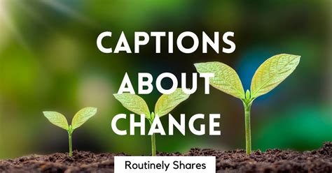 Inspiring Change Captions For Your Life Or Mood Routinely Shares