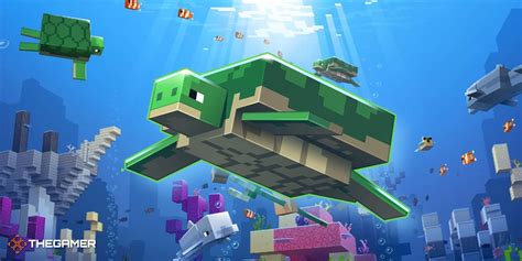 Minecraft Everything You Need To Know About Turtles