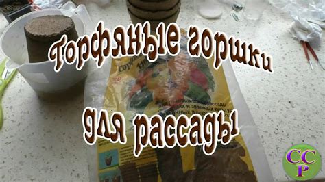 ВНИМАНИЕ! Торфяной горшок для рассады. Мои наблюдения - YouTube