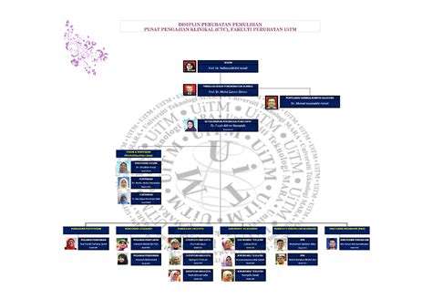 Organisation Chart Rehab Med Uitm