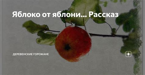 Яблоко от яблони… Рассказ | На завалинке | Дзен