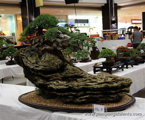 Penjing - Bantigue Bonsai