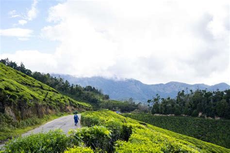 Munnar | Zostel