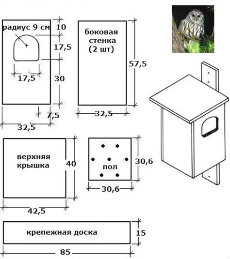 Домик для совы своими руками чертежи и размеры
