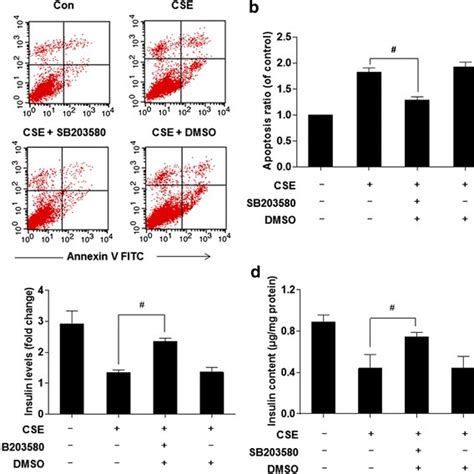 Inhibition Of P38 Mapk Blocks Cse Induced Apoptosis And Decreases Of