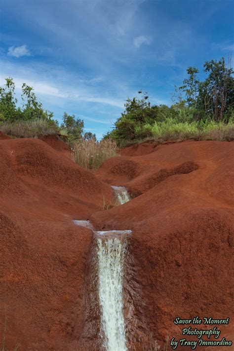 Why You Should Visit Waimea Canyon More Than Once - Savor the Moment ...