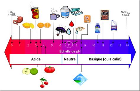 Comment Savoir Si Vous Tes Acide Ou Alcalin D D Dans Son Jardin Hot