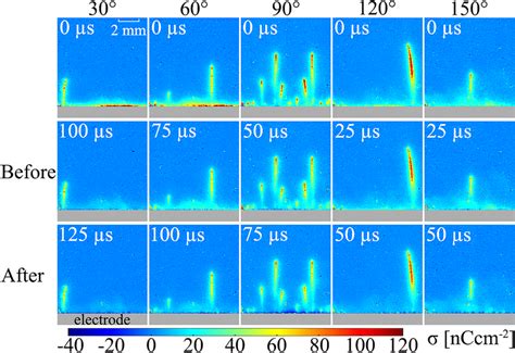 Distribution Of The Surface Charge Density Produced By The First Download Scientific Diagram