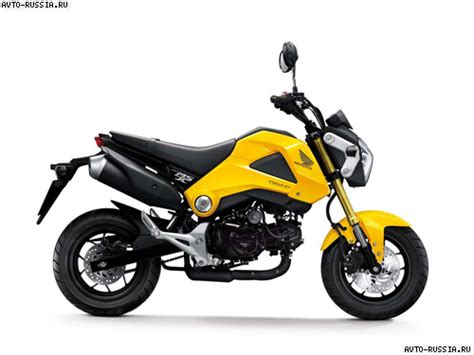 Honda MSX125: цена, технические характеристики, фото Хонда МСХ125 ...