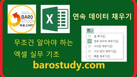 0 엑셀기초배우기 엑셀 실무 기초 워크시트 추가 자동 채우기 핸들 자동 채우기 옵션 연속 숫자 데이터 채우기 YouTube