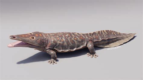 species   science paleontology  kwatisuchus rosai