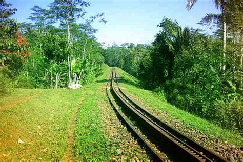 Satu Satunya Rel Bergerigi Di Pulau Jawa Jalur Kereta Api Ini Dulu Dibangun Demi Kepentingan