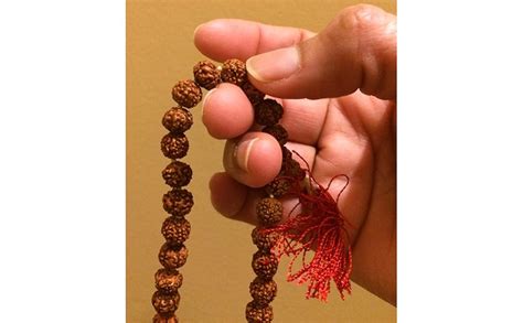 Saubhagya Global Original Rudraksha Jaap Mala For Pooja Astrology