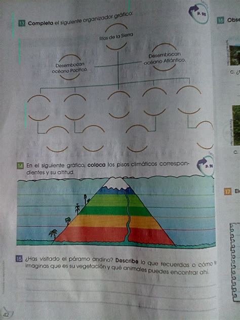 13 Completa el siguiente organizador gráfico 14 en el siguiente