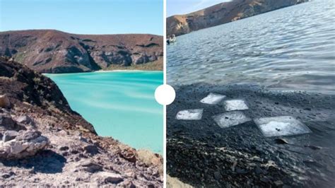 Playa Balandra El Impresionante Antes Y Despu S Del Desastre Ecol Gico