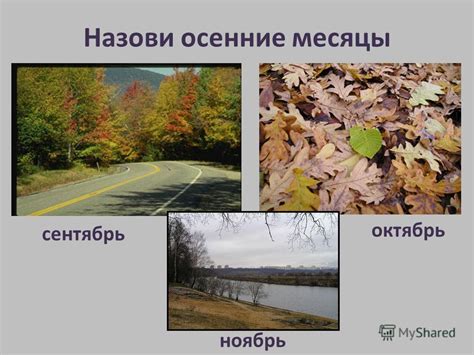 Презентация на тему: "ВИКТОРИНА ВРЕМЕНА ГОДА Сколько месяцев в году ...