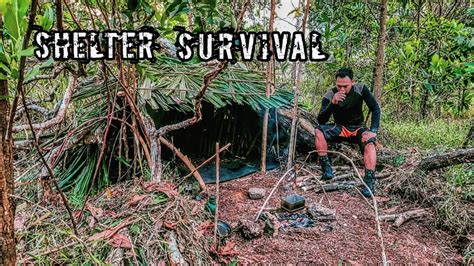 Solo Camping Membuat Shelter Sederhana Dari Pohon Tumbang Adventure