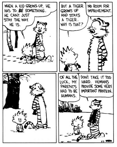 Calvin And Hobbes Quotes Calvin And Hobbes Comics Funny Cartoons