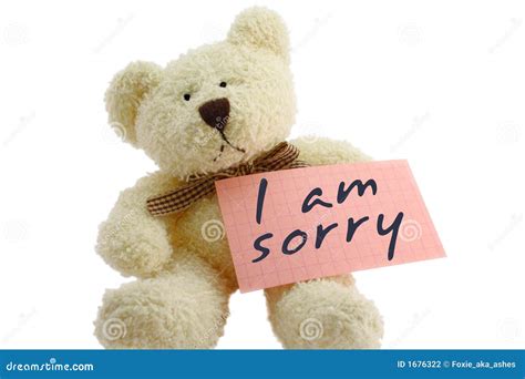 Teddy I Am Sorry Stock Photography Image 1676322