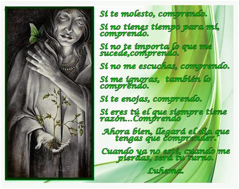 cuando se dice comprendo