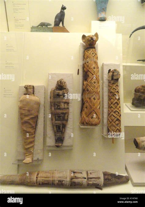 Mummies Egypt Hi Res Stock Photography And Images Alamy