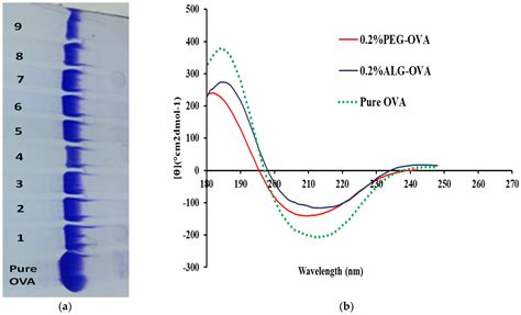 Marine Drugs Free Full Text Enhancing Stability And Mucoadhesive