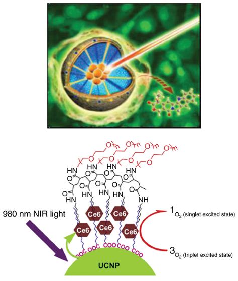 Schematic Diagram For The Application Of Upconversion Nanoparticles In