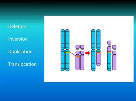 PPT 12 4 Mutations Mutation A Change In DNA PowerPoint Presentation