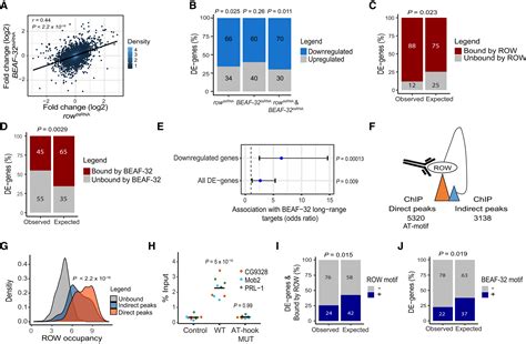 The Chromatin Factor Row Cooperates With Beaf‐32 In Regulating Long