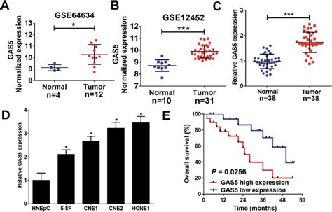 Gas Was Up Regulated In Npc Tissues And Cells A And B The