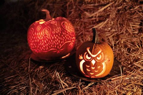 Outdoor Deko für Halloween Kürbisschnitzen einfach gemacht blooms de