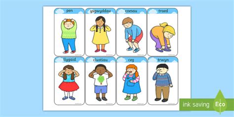 Heads Shoulders Knees And Toes Flashcards Welsh Pen