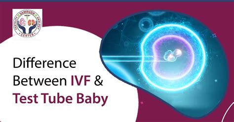 IVF And Test Tube Babies Insights From Samrudh Fertility Experts