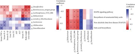 Correlation Analyses Between Metabolic Parameters And Genera