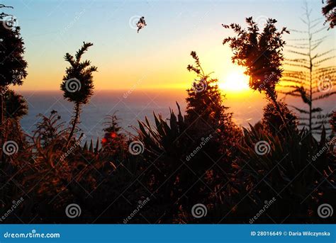 Big Sur coast sunset stock image. Image of rocky, coastline - 28016649