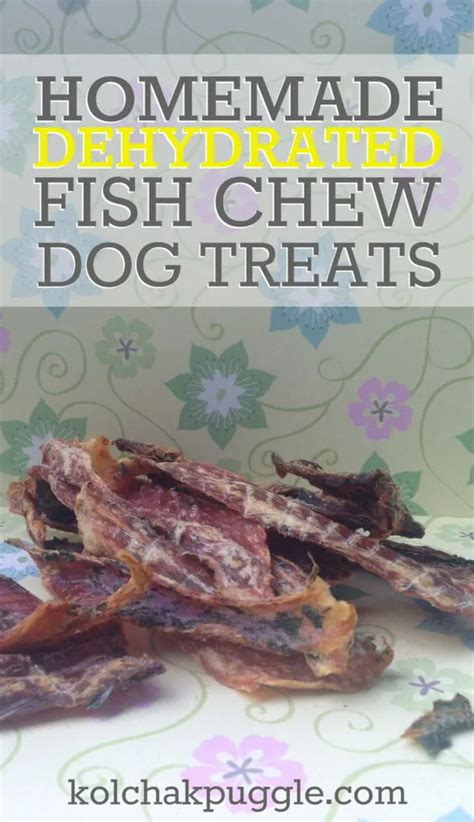 Dehydrated Fish Skin Chews Fishful Future