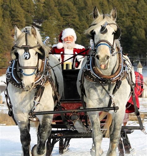 Christmas Horse And Carriage Rides Near Me Leatha Rector