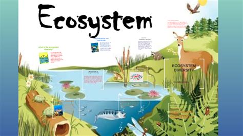 What Is The Ecosystem Diversity By Zahra R On Prezi