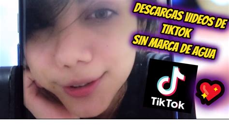 Descargar Videos De Tik Tok Sin Marca De Agua Youtube