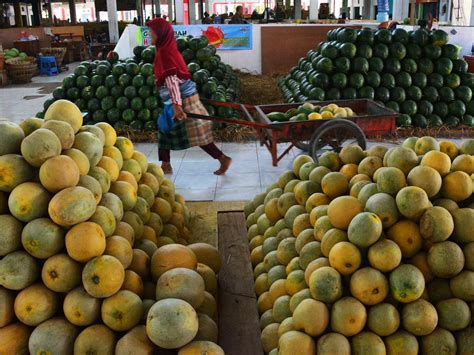 Menggerakkan Roda Perekonomian Di Pasar Buah Penggaron