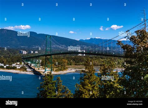 View Of Lions Gate Bridge In Vancouver From Prospect Point Stanley