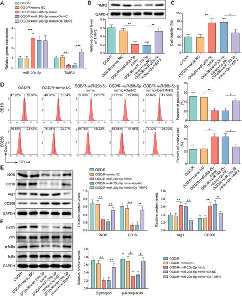 MiR 20b 5p Regulated OGD R Induced Microglia Polarization By